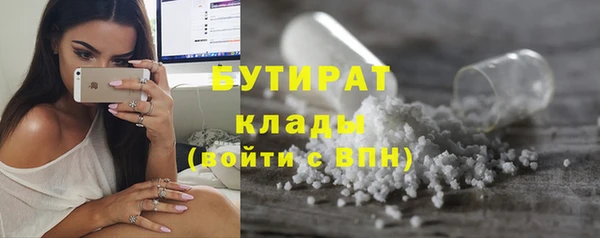 стаф Горняк