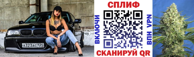 где можно купить наркотик  Хотьково  OMG   даркнет наркотические препараты  Бошки марихуана план 